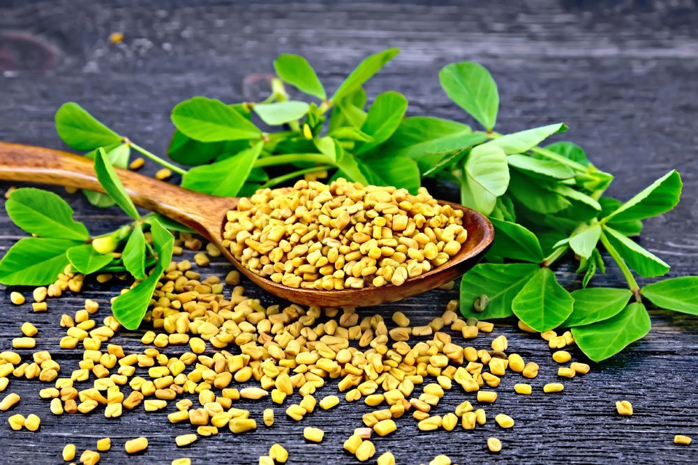 © kostrez - Fotolia.com Bockshornklee pflanzen