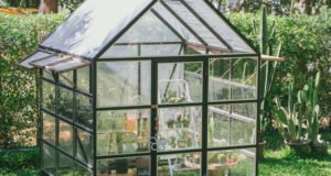 Gewächshaus planen