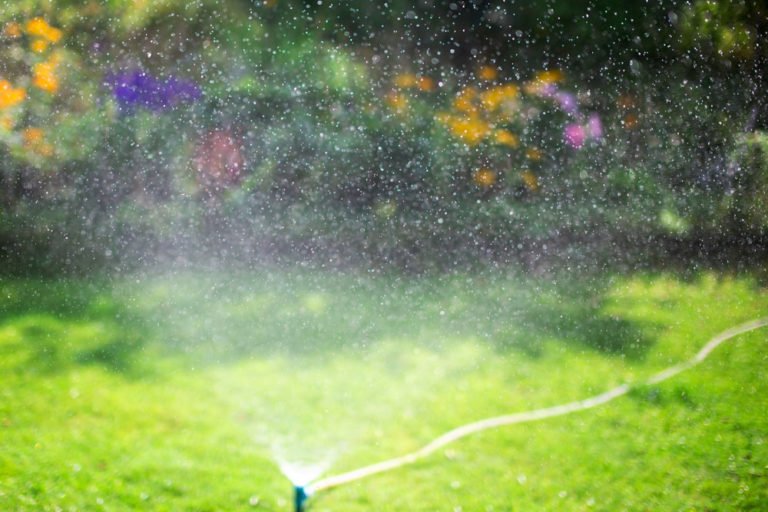Garten bewässern im Urlaub: 6 Tipps zur Pflege von Rasen & Co