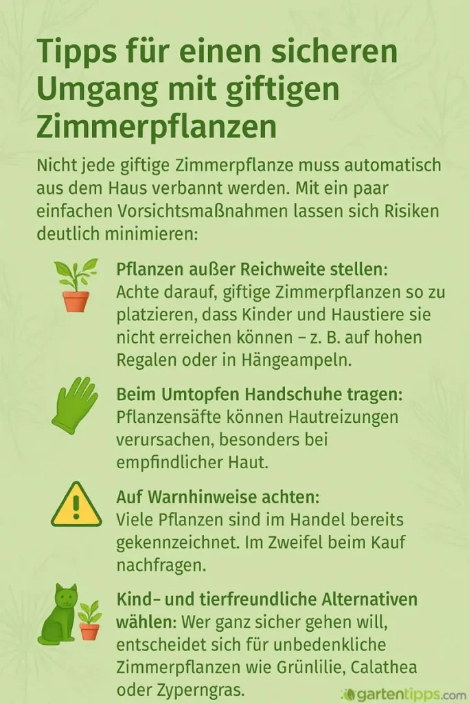 Infografik zum Umgang mit giftigen Zimmerpflanzen für Erwachsene.