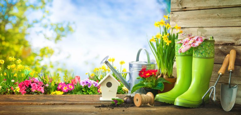 Garten im Frühling: ToDos für den Start in die neue Gartensaison