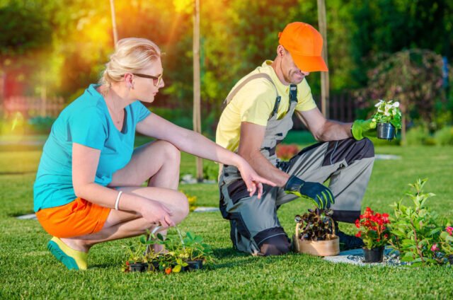 Als Gärtner selbstständig machen? Vom Hobbygärtner zum Garten und