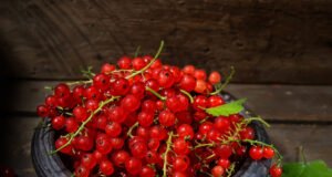 Johannisbeeren entkernen