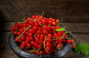 Johannisbeeren entkernen