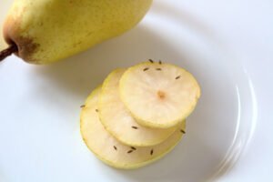 Obstfliegen fangen: So werden Sie die Fruchtfliegen wieder los Obstfliegen