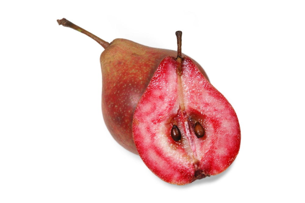 Sommerblutbirne mit rot gefärbtem Fruchtfleisch.
