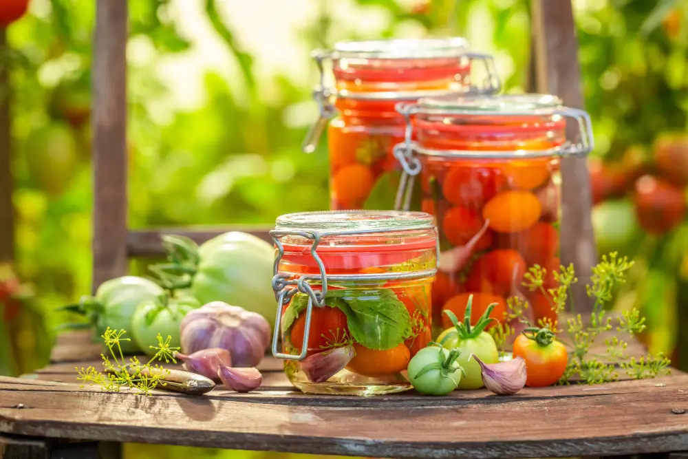 Tomaten fermentieren