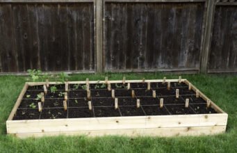 Square Foot Gardening