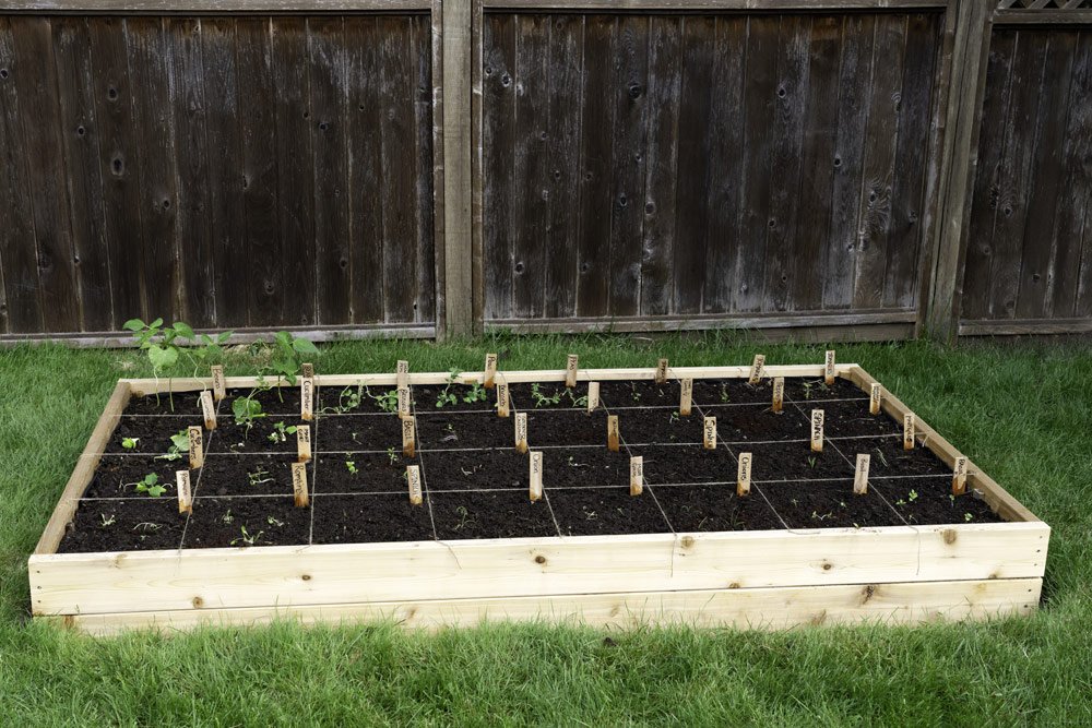 Square Foot Gardening