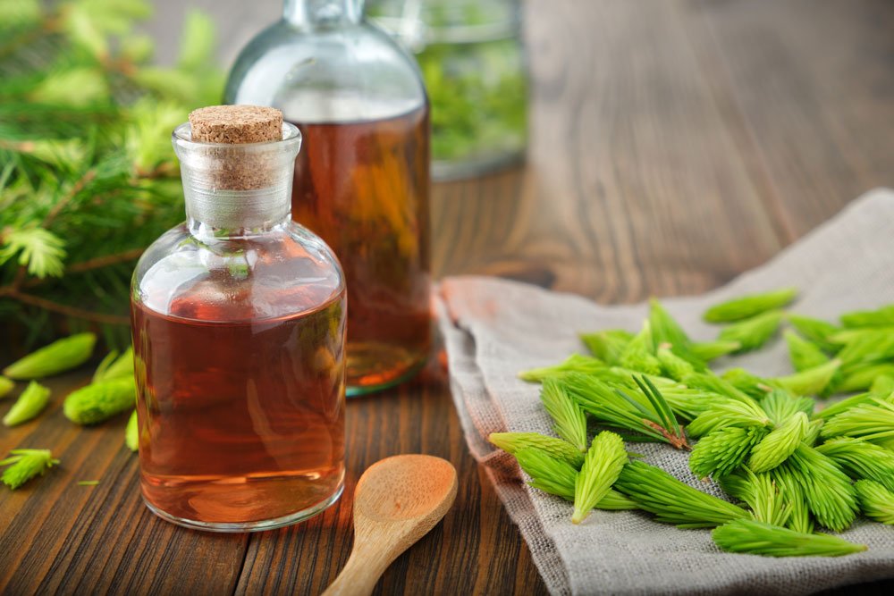 Tannenspitzen-Sirup hält sich etwa drei Monate Tannenspitzen-Sirup