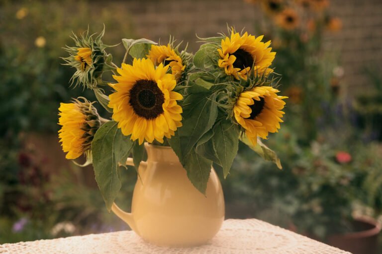 Sonnenblumen in der Vase haltbar machen