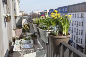 Frühlingsblumen für den Balkon – Top 10 Frühlingsblumen für den Balkon