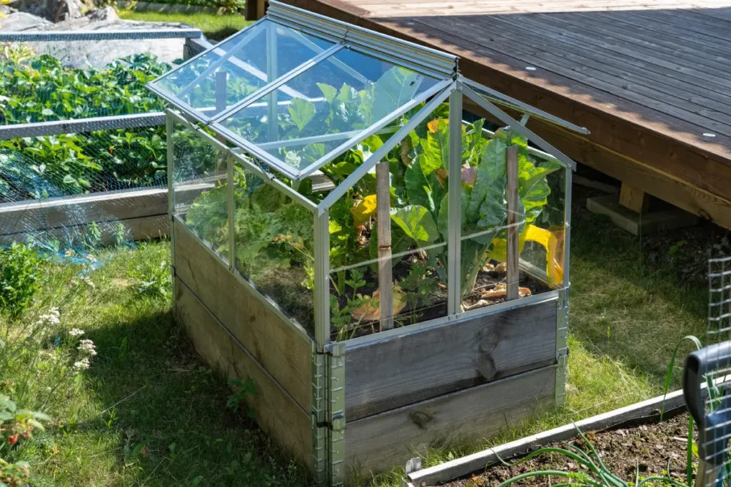 Hochbeet aus Paletten-Aufsatzrahmen mit Glasabdeckung.