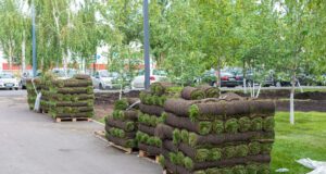 ROllrasen fertig auf Paletten verpackt.
