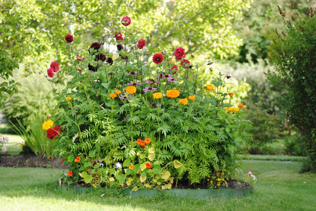 Farbenprächtige Blumenbeete auch im Spätsommer - die richtigen Pflanzen vorausgesetzt.