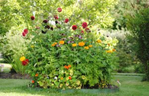 Farbenprächtige Blumenbeete auch im Spätsommer - die richtigen Pflanzen vorausgesetzt.