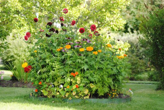 Farbenprächtige Blumenbeete auch im Spätsommer - die richtigen Pflanzen vorausgesetzt.