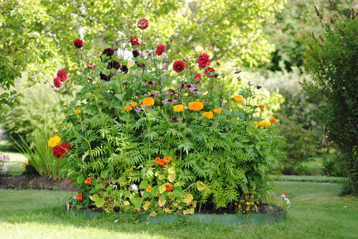 Farbenprächtige Blumenbeete auch im Spätsommer - die richtigen Pflanzen vorausgesetzt. 