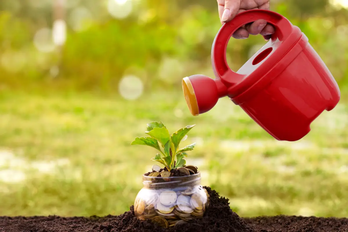 Hand mit Gießkanne über einem Glas voll mit Geld und einer Pflanze Wasser sparen im Garten Tipps