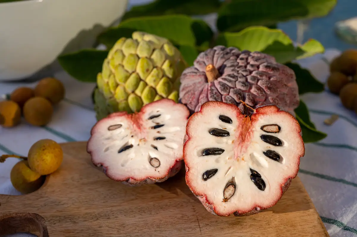 Cherimoya