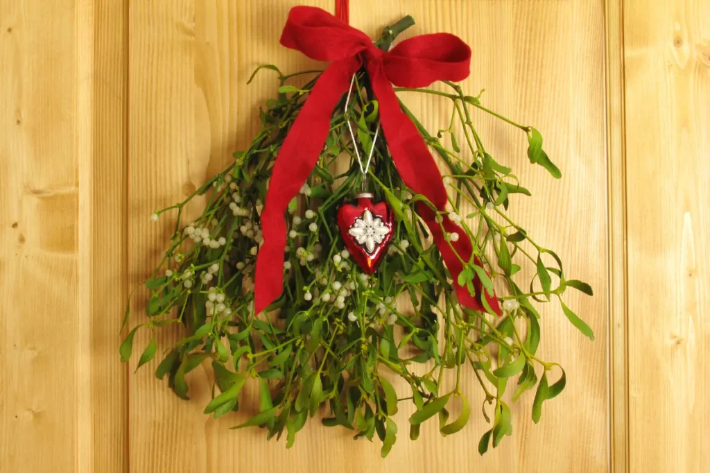 Mistelzweig hängt als Weihnachtsdeko an der Tür.