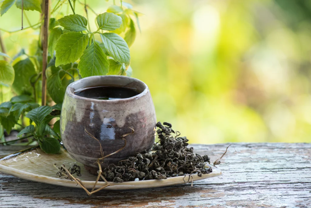 Frischer und getrockneter Jiaogulan neben einer Tasse Tee Jiaogulan: Kraut der Unsterblichkeit pflanzen und pflegen