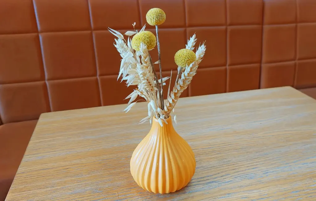 Trommelstöckchen pflanzen, pflegen und vermehren