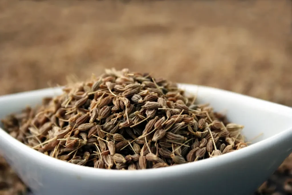 Nahaufnahme von Anissamen in einer kleinen Schale Anis pflanzen, pflegen und ernten