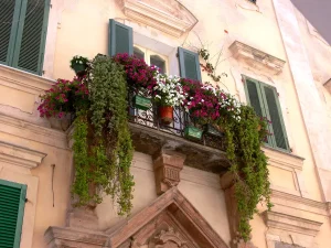 Hängepflanzen für den Balkon - Unsere Top 10