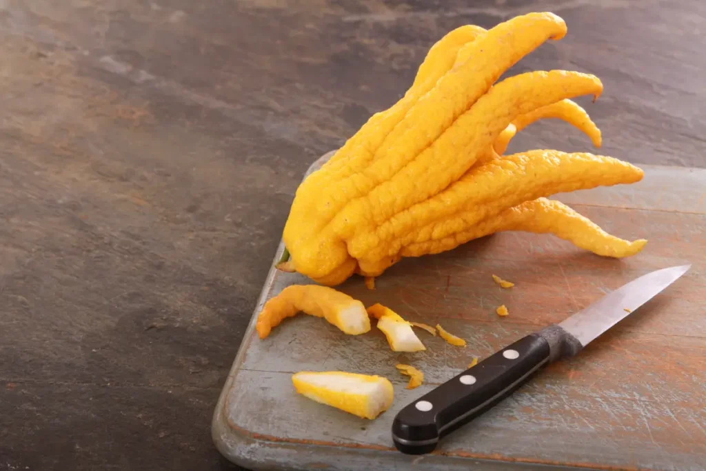 Buddhas Hand - So pflanzen und pflegen Sie die Fingerzitrone