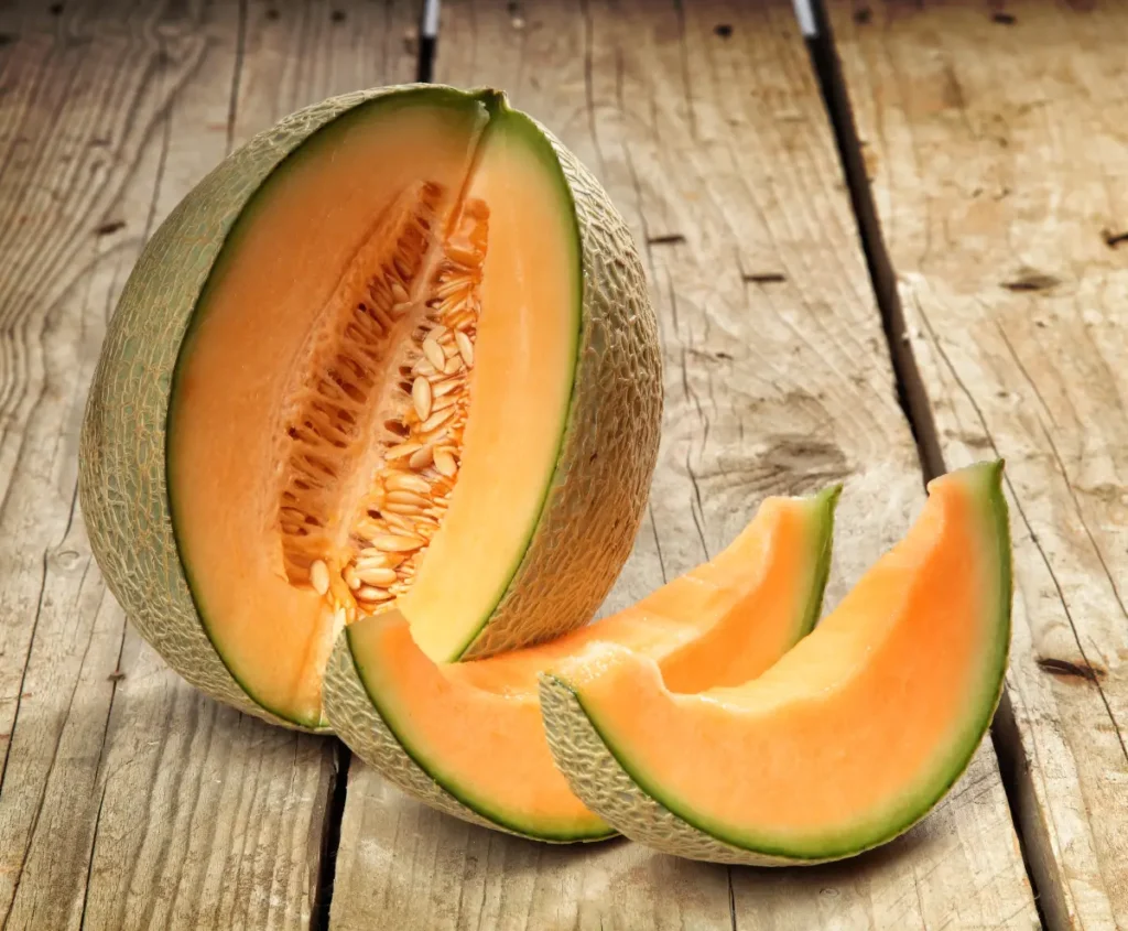 Honigmelone pflanzen, pflegen und ernten