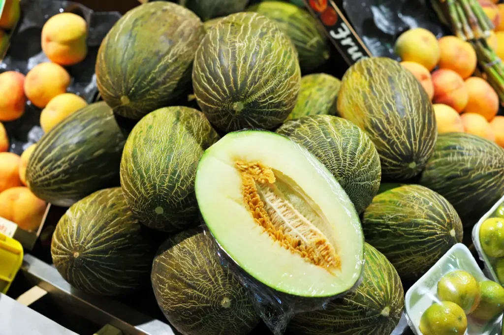Honigmelone pflanzen, pflegen und ernten