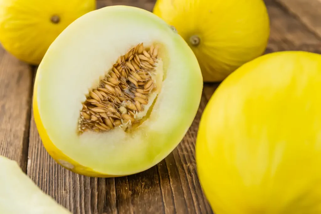 Honigmelone pflanzen, pflegen und ernten