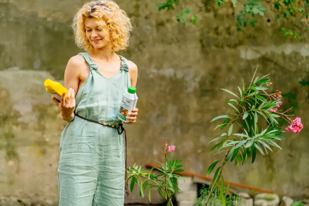 Oleander bekommt gelbe Blätter – Ursachen & Tipps zur Behandlung