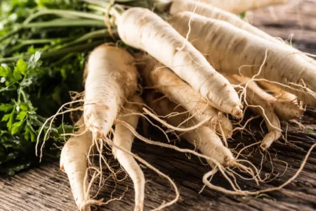 Wurzelpetersilie pflanzen, pflegen und ernten Wurzelpetersilie pflanzen, pflegen und ernten