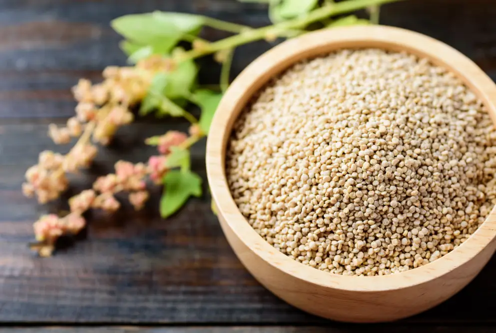 Quinoa Samen
