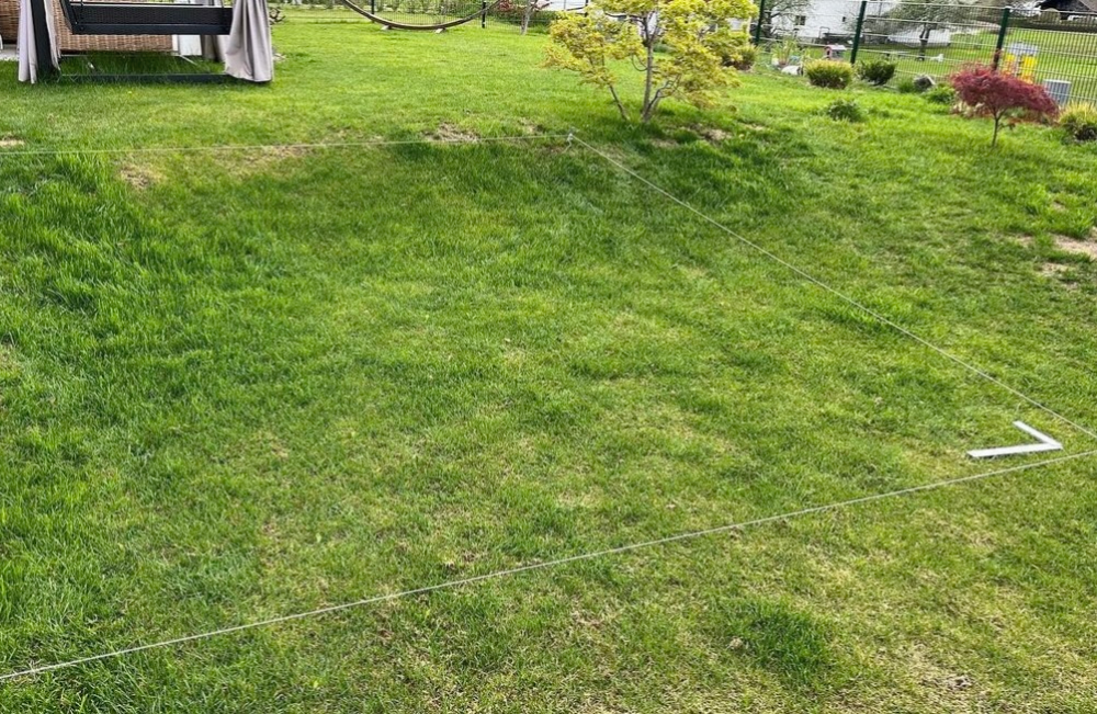 Marko sein Garten vorher