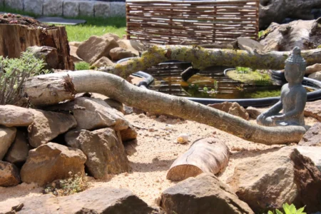 Sandarium anlegen: Lebensraum für bedrohte Insekten und Reptilien Sandarium anlegen