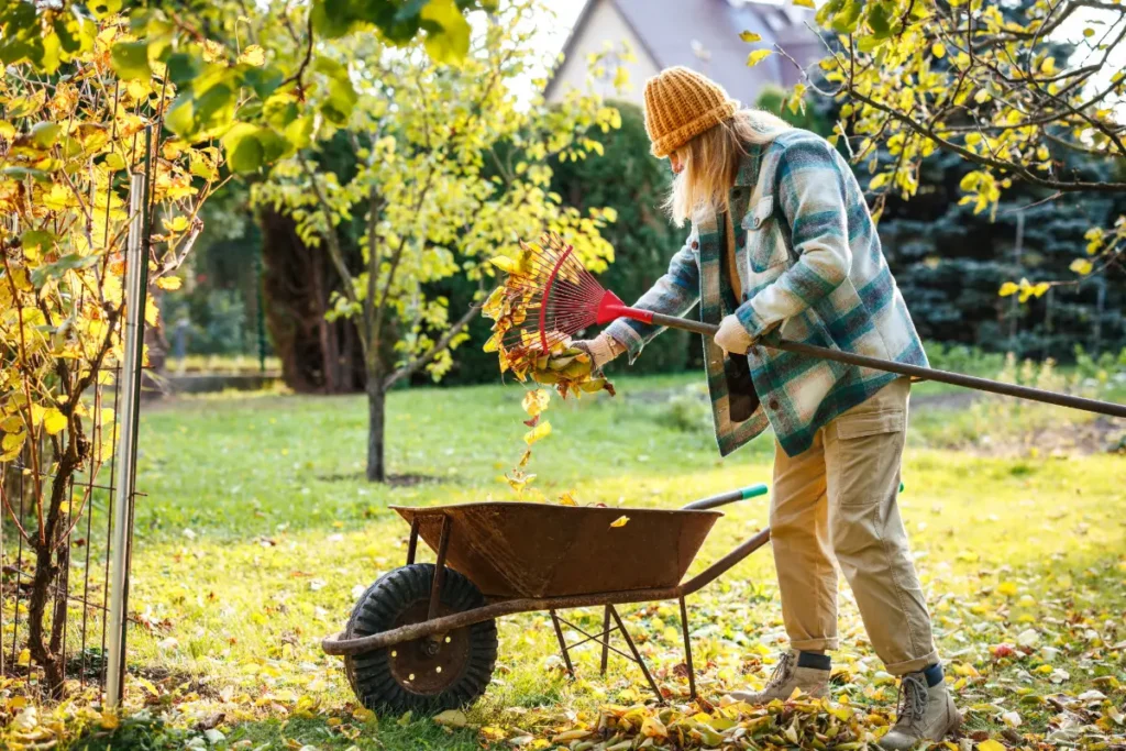 Laubkomposter selber bauen und Lauberde herstellen Laubkomposter selber bauen und Lauberde herstellen